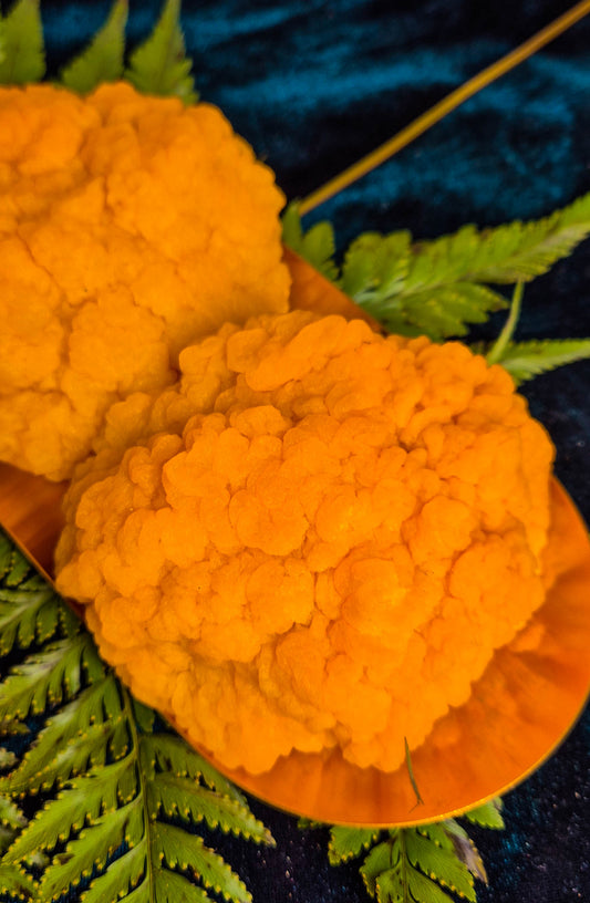 Fresh Golden Ear Mushrooms