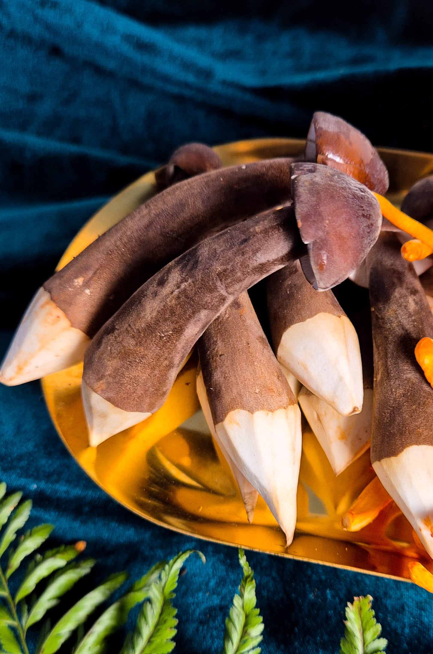 Porcelain Queen QQ Mushrooms