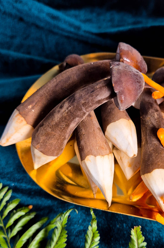 Porcelain Queen QQ Mushrooms