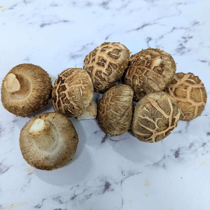 Shiitake (Cracked)
