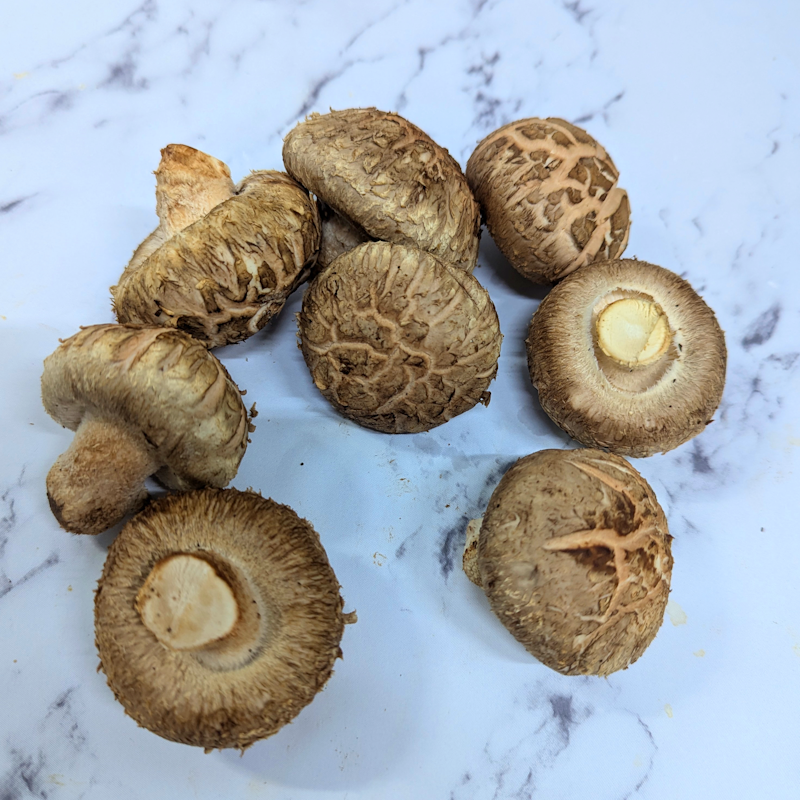 Shiitake (Cracked)