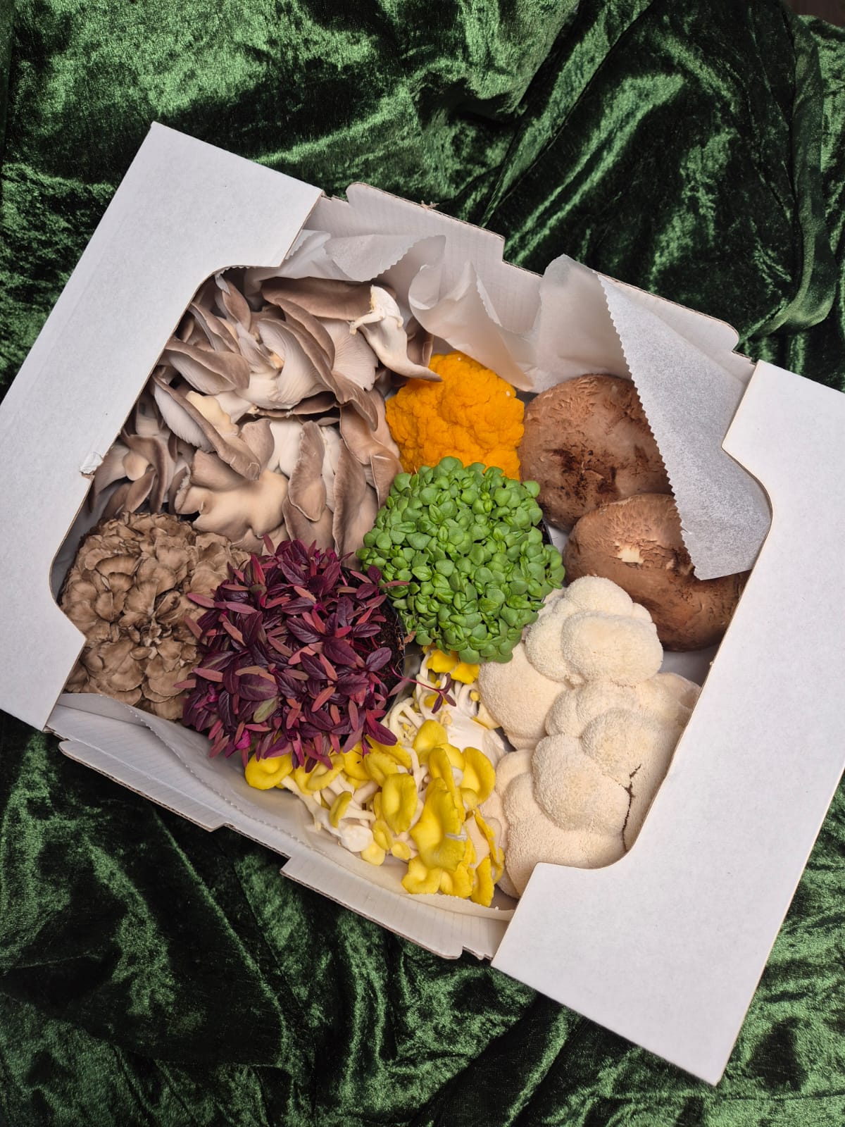 Fresh Mushroom Gift Box