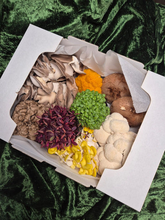 Fresh Mushroom Gift Box
