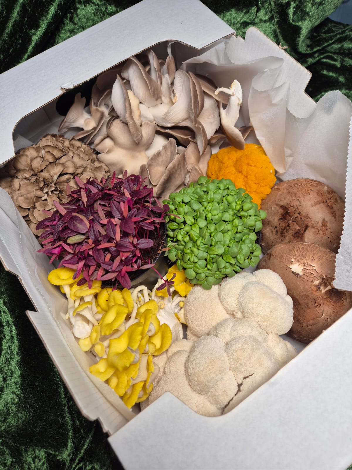 Fresh Mushroom Gift Box