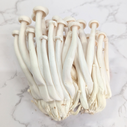 Seafood / Winter Mushroom